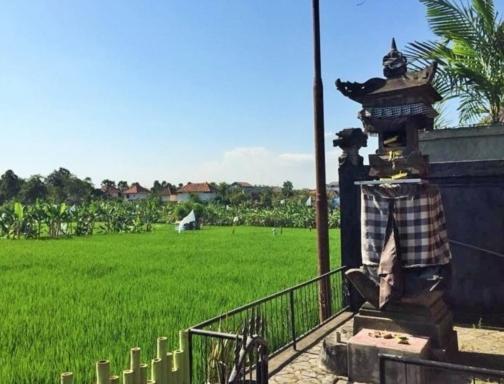 Bali Green Hostel Seminyak Eksteriør billede